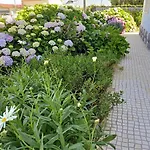 Like-home-t3 House-garden, Sea View,